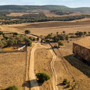 4-Acre Land Parcel for Sale on Hoodi Main Road, Whitefield, Bangalore