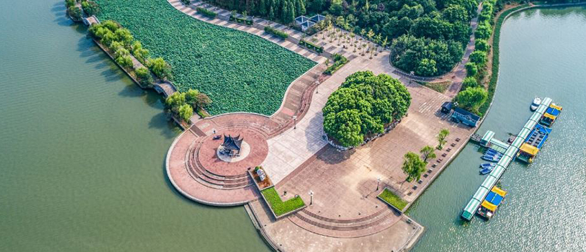 9 Acres Waterfront Land for Sale at Poochakkal – Cherthala-Arookutty Road Frontage