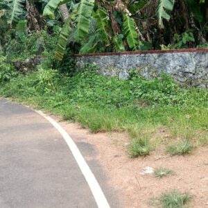 15 Cents of Land – Aranmula, Pathanamthitta Dist.