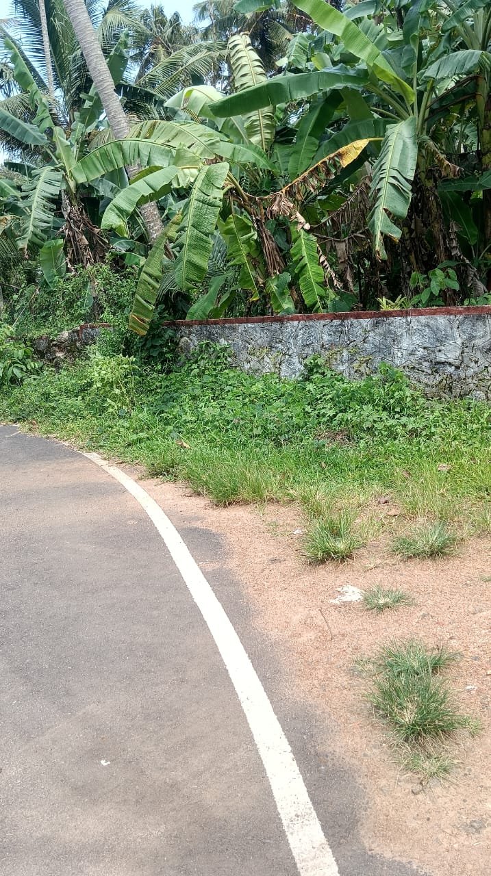 15 Cents of Land – Aranmula, Pathanamthitta Dist.